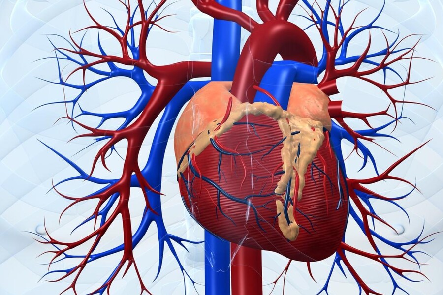 Prolaps mitrální chlopně