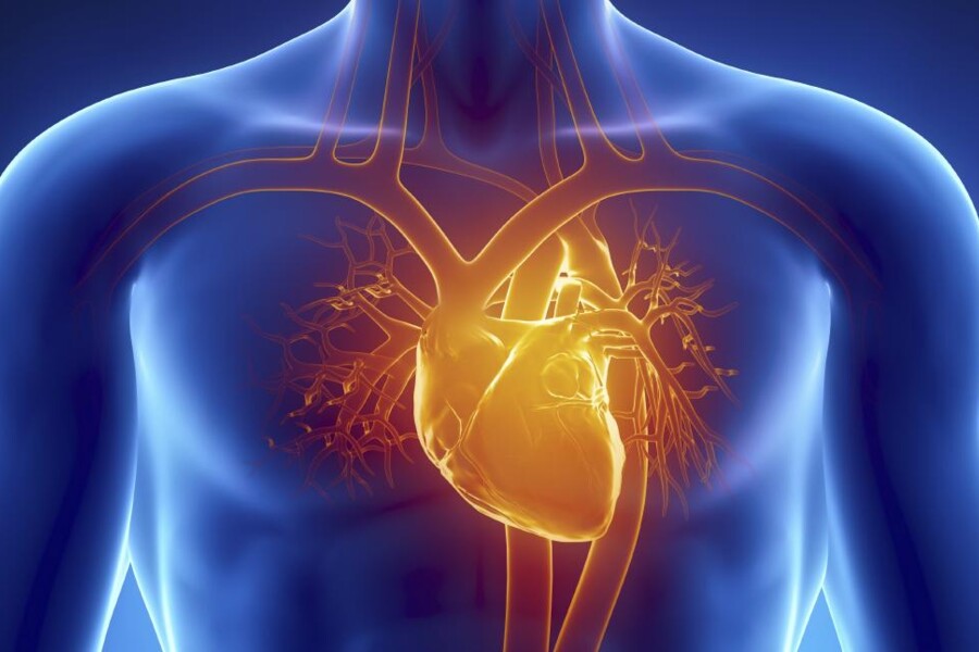 Syndrom hypoplastického levého srdce u dětí