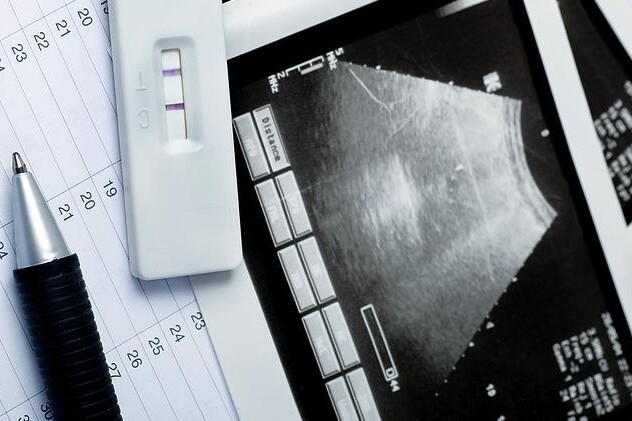 Těhotenství týden po týdnu