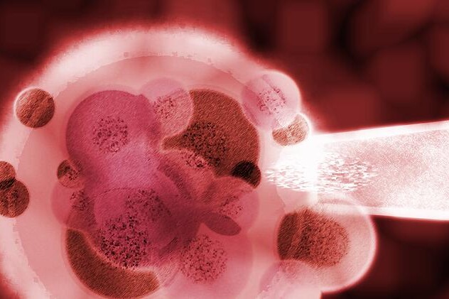 Léčba imunologické neplodnosti