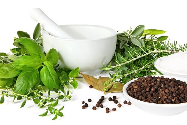 Meduňka, pelyněk a estragon