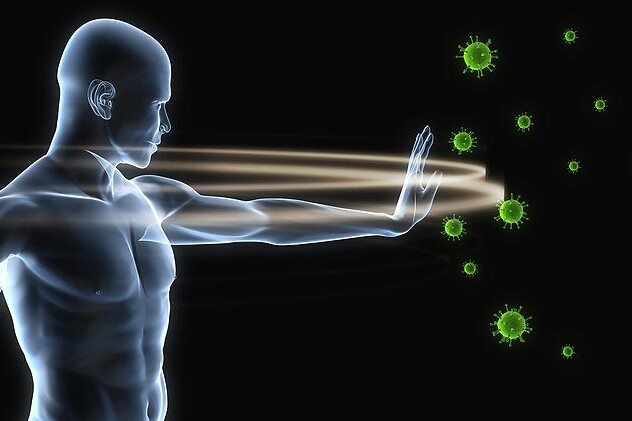 Imunitní systém - imunita