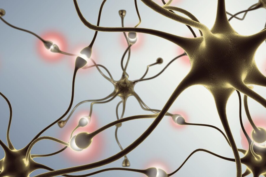 Poruchy řeči u dětí