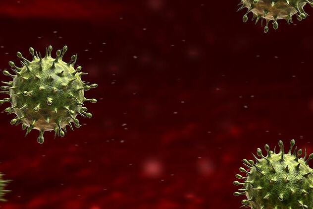 Condyloma accuminatum - condylomata