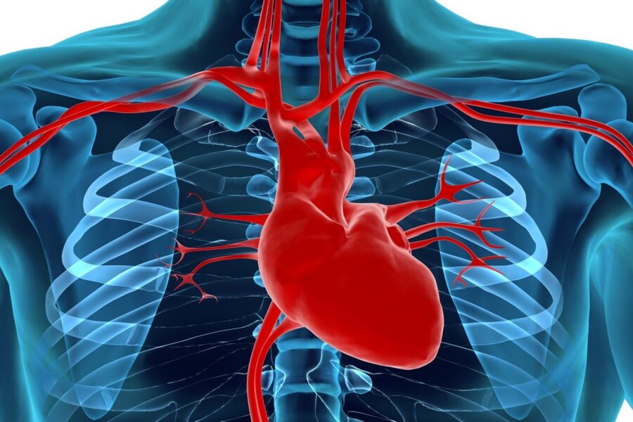 Defekt septa u dětí