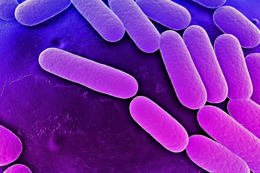 Zápal plic u dětí