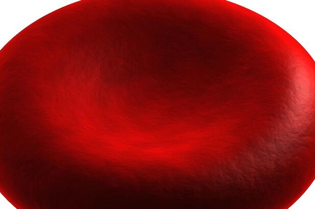 Erytrocyty - červené krvinky