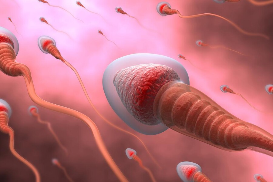 Intrauterinní inseminace - IUI