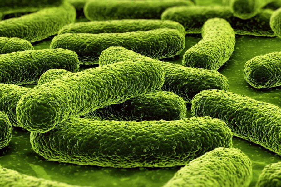 Tuberkulóza u dětí