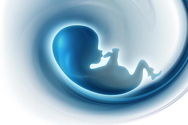 Přerušení těhotenství