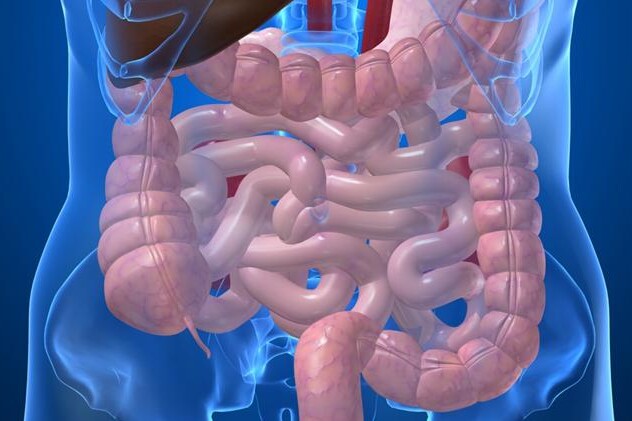 Crohnova nemoc u dětí