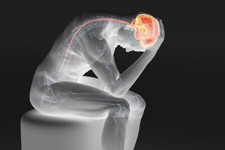 Infekční onemocnění mozku 