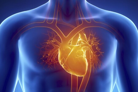 Syndrom hypoplastického levého srdce u dětí