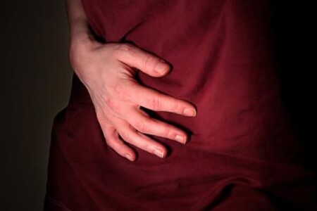 Trávení, břišní orgány