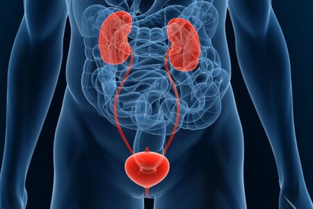 Poruchy močového ústrojí