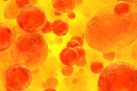 Perniciózní anémie