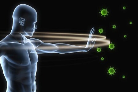 Imunitní systém - imunita