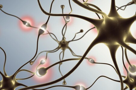 Poruchy řeči u dětí