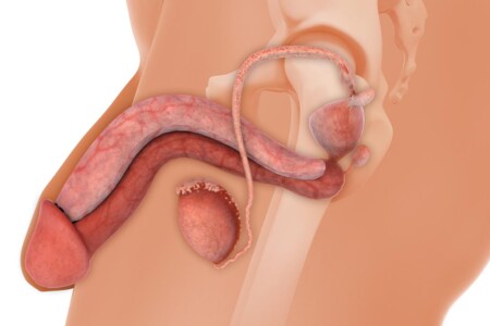Onemocnění varlat a šourku