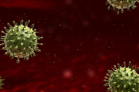 Condyloma accuminatum - condylomata