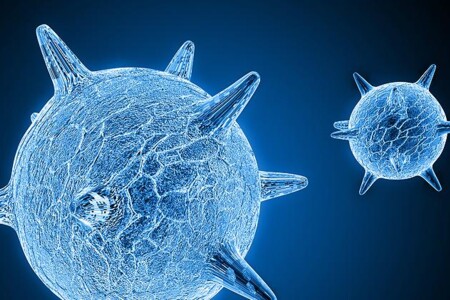 Genitální opar - herpes genitalis