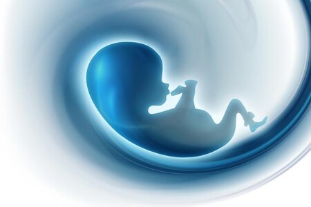 Přerušení těhotenství