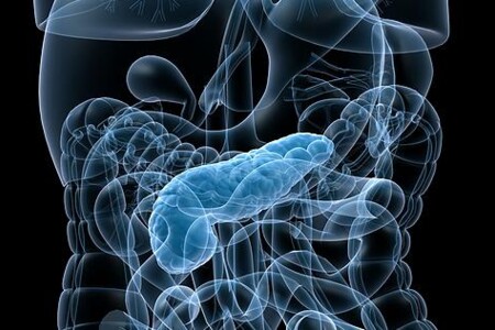 Chronický zánět slinivky  